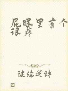 屁眼里有个疙瘩很疼