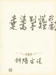 老婆别慌我家全是高手短剧免费观看