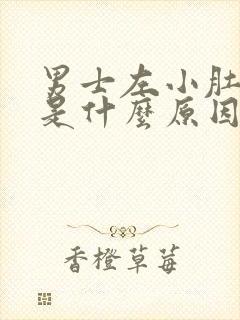 男士左小肚子疼是什么原因封面