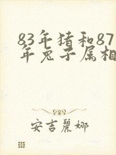 83年猪和87年兔子属相合不合封面