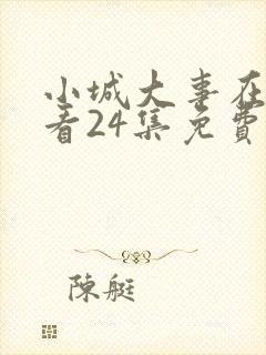小城大事在线观看24集免费