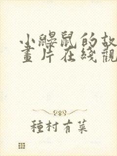 小鼹鼠的故事动画片在线观看免费