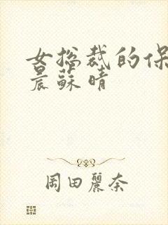 女总裁的保镖萧晨苏晴