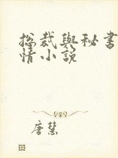 总裁与秘书的言情小说