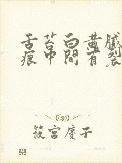 舌苔白黄腻有齿痕中间有裂纹