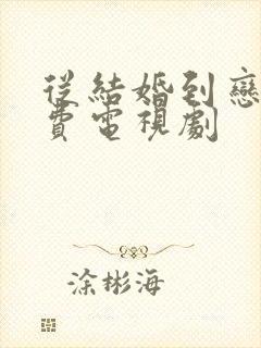 从结婚到恋爱免费电视剧