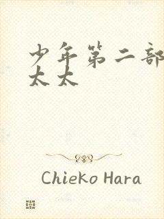 少年第二部房东太太