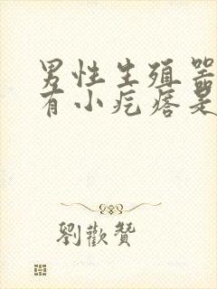 男性生殖器表面有小疙瘩是怎么回事封面