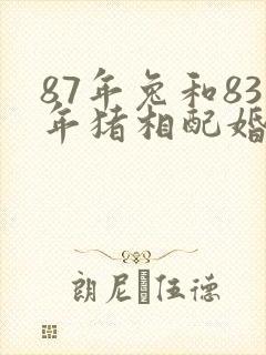 87年兔和83年猪相配婚姻如何封面