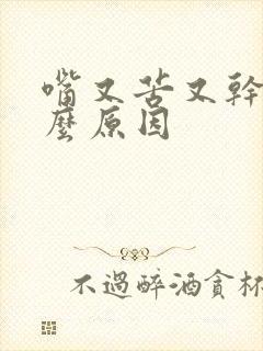 嘴又苦又干是什么原因