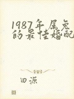 1987年属兔的最佳婚配表