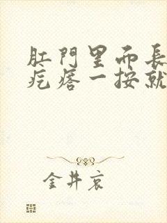 肛门里面长个硬疙瘩一按就疼封面