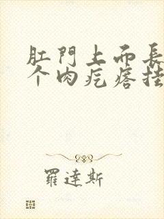 肛门上面长了一个肉疙瘩挂什么科