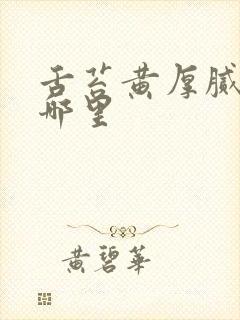 舌苔黄厚腻针灸哪里