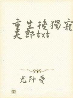 重生后独宠哑巴夫郎txt