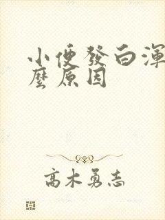 小便发白浑是什么原因