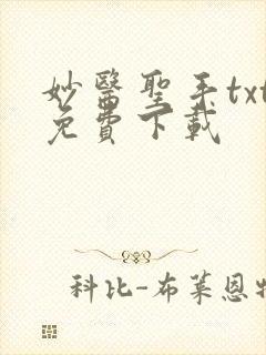 妙医圣手txt免费下载