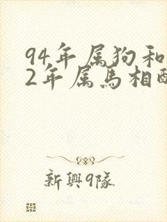 94年属狗和02年属马相配婚姻如何