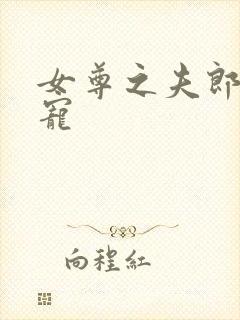 女尊之夫郎不好宠