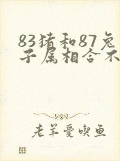 83猪和87兔子属相合不合