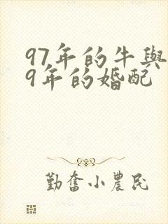 97年的牛与99年的婚配