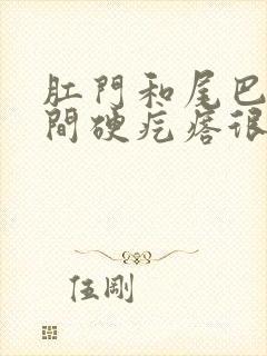 肛门和尾巴骨中间硬疙瘩很疼