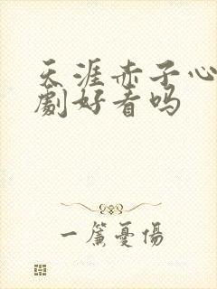 天涯赤子心电视剧好看吗封面