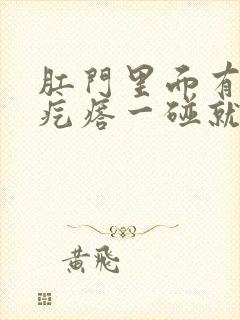 肛门里面有个硬疙瘩一碰就疼