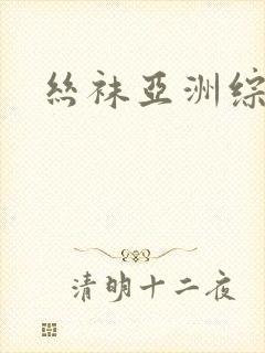 丝袜亚洲综合网