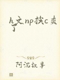 h文np挨c爽了