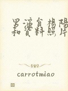 男演员杨阳简介和资料照片