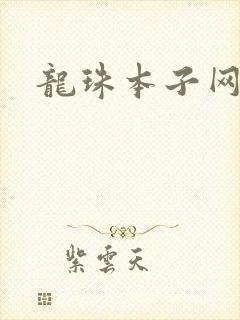 龙珠本子网盘