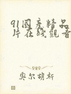 91国产精品大片在线观看