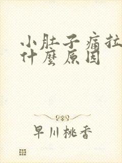 小肚子痛拉血是什么原因