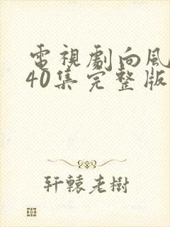 电视剧向风而行40集完整版免费观看封面