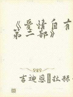 《爱情自有天意第二部》封面