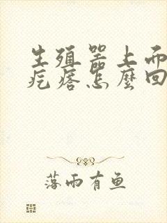 生殖器上面长了疙瘩怎么回事