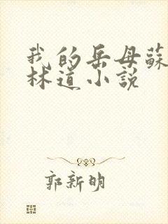 我的岳母苏沛真林道小说封面