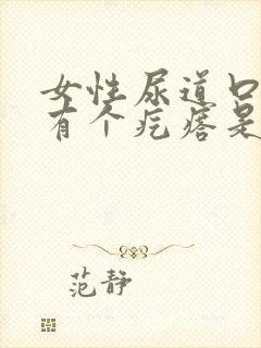 女性尿道口里面有个疙瘩是怎么回事