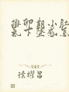 排卵期小肚子胀气下坠感怎么回事封面