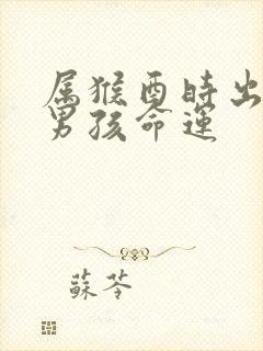 属猴酉时出生的男孩命运