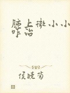 肺上微小小结节咋治