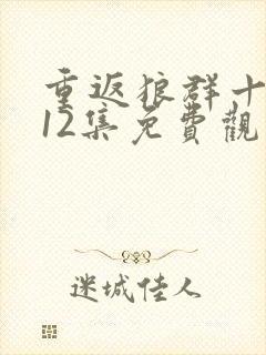 重返狼群十周年12集免费观看