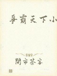 争霸天下小说封面