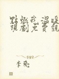 点燃我温暖你电视剧免费观看9集