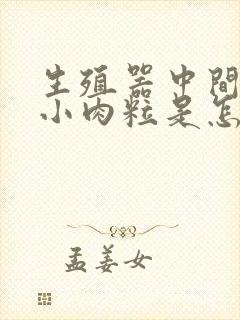 生殖器中间长的小肉粒是怎么了