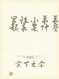 男性小弟弟硬不起来是什么原因