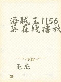 海贼王1156集在线播放免费观看