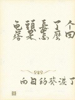 龟头长了个硬疙瘩是怎么回事封面