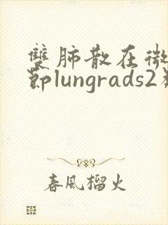 双肺散在微小结节lungrads2类